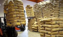 توقف تخصیص ارز به چای از دیماه ۱۴۰۱