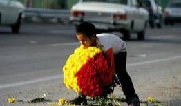 شناسایی و ساماندهی 71 کودک کار در ایلام