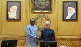 محدودیتی در توسعه روابط با کشورهای آفریقایی نداریم