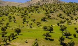 گردشگری پیشران توسعه اقتصادی ایلام است