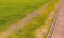 تصویر بُهت‌آوری که از چمن هیبریدی تبریز وایرال شد!