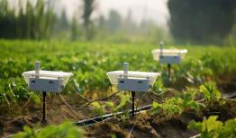 درآمد ۱۰۰ میلیون دلاری از محل صادرات نهاده‌های کشاورزی