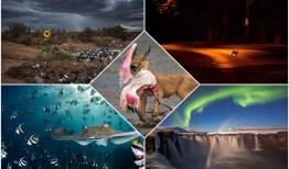 برندگان مسابقه عکاس سال Nature TTL سال ۲۰۲۲