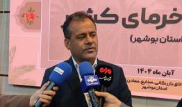 میز ملی خرما در بوشهر برگزار شد