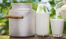 دولت باید برای شیرهای تولیدی فکر عاجل کند