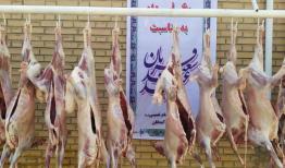 جمع آوری ۵۰۵ رأس دام قربانی طی عید سعید قربان در ایلام برای نیازمندان