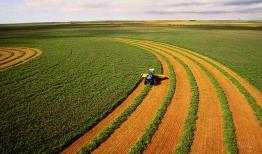 شرایط توسعه کشاورزی فراسرزمینی ابلاغ شد