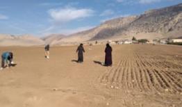 افزایش ۱۰ تا ۹۰ درصدی عملکرد گندم دیم با اجرای خشکه‌کار