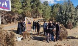 اجرای طرح درختکاری به نیت «سرباز وطن» در بام ملایر