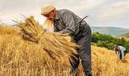 تفاهم‌نامه جدید طرح جهش تولید در دیم‌زارها امضا شد