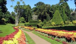 خزان باغ گیاه‌شناسی ایران با بلندمرتبه سازی جوار آن