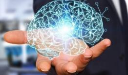 چشم‌انداز تازه در رویکردهای علوم شناختی و اعصاب