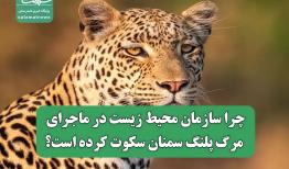 چرا سازمان محیط زیست در ماجرای مرگ پلنگ سمنان سکوت کرده است؟