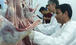 نظارت بهداشتی و شرعی بر ذبح ۵۱۶ رأس دام زنده در بوشهر