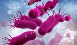 عفونت های باکتریایی عامل یک هشتم مرگ های جهان