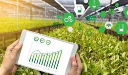 توسعه کشاورزی با تقویت منابع بانکی میسر است