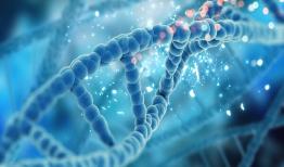  شناسایی ۳۶۰ هزار گره تاثیرگذار در ژن‌ها