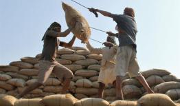 واردات ۱۳۴ میلیون دلار برنج هندی در ۲ ماه
