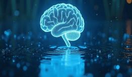 نمایشگاه فناوریهای نرم و صنایع خلاق برگزار میشود 