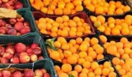 ۳۳۶ تن میوه برای ایام عید نوروز در چهارمحال و بختیاری پیش‌بینی شد