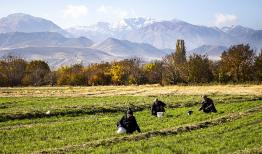 مزرعه الگو در نقاط بحرانی لرستان ایجاد می‌شود