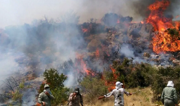 ردپای انسان در آتش‌سوزی جنگل‌های چالوس؟