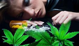 عواقب خطرناک و اثرات سنگین توهم ناشی از گل