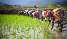 دولت حق دخالت در تعیین مدیران خصوصی را ندارد