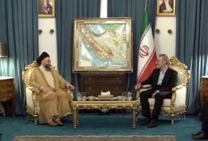 دیدار سید عمار حکیم با دبیر شورای عالی امنیت ملی