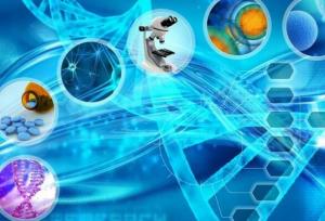 خسارت سه میلیارد دلاری بهای مقاومت در مقابل زیست‌فناوری کشاورزی