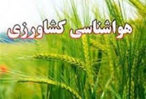 ضرورت تسریع در برداشت محصولات کشاورزی و انتقال به انبار