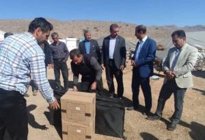 تلاش برای توسعه زیرساخت‌های مناطق عشایری فارس/ پنل‌های خورشیدی توزیع می‌شود