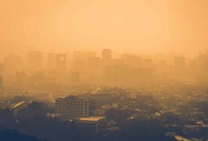 بهترین غذاها برای مقابله با تاثیرات آلودگی هوا کدامند؟