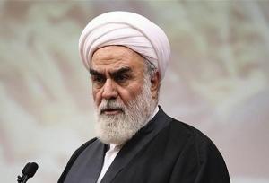 حجت‌الاسلام گلپایگانی: هرگز تسلیم زور نخواهیم شد