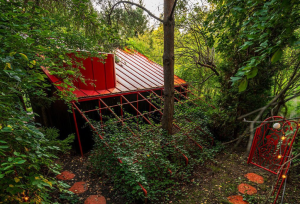 جادوی معماری رنگ، چوب و فلز در قلب ورشو