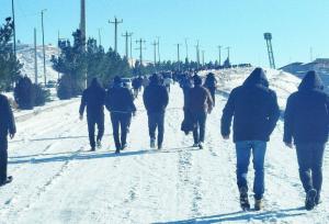 تراکتوری‌ها در برف و یخبندان گرفتار شدند