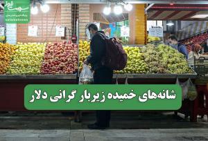 شانه‌های خمیده زیربار گرانی دلار