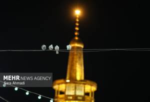 حال و هوای حرم مطهر امام رضا(ع) در شب نیمه شعبان