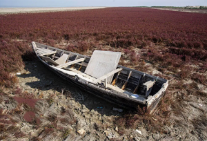 پس‌روی مرگبار آب در بزرگ‌ترین خلیج خزر