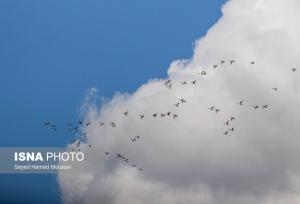 تنفس هوای «پاک» در ۷ شهر خوزستان