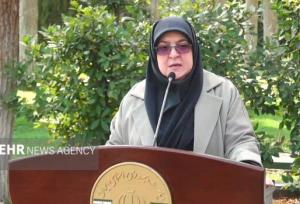مهاجرانی: تلاش می کنیم شاهد قطعی گاز در زمستان نباشیم
