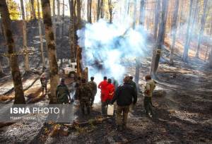 مدیرکل منابع طبیعی استان خبر داد: مهار ۲ هکتار آتش‌سوزی در جنگل های گیلان