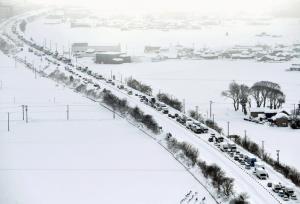 دست کم ۸ کشته و ۵۱ مصدوم در پی برودت هوا و شرایط جوی نامساعد در ژاپن