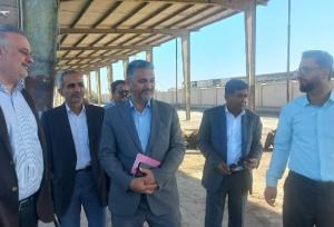 جمال الدینی: ظرفیت‌های کشاورزی جاسک با آب شیرین دریا تقویت می‌شود