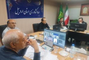 احدی عالی:یارانه کالاهای اساسی به سفره مردم انتقال می یابد