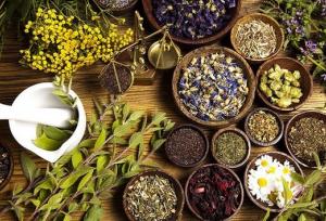 رئیس پژوهشکده گیاهان دارویی جهاددانشگاهی منصوب شد