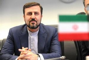 غریب آبادی: اقدام سیاست زده همکاری با آژانس را مشکل می‌کند