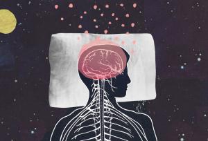 راز شبانه مغز؛ چرا مغز در خواب از بیداری فعال‌تر است؟