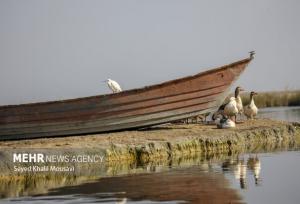 راه‌اندازی مرکز پایش ماهواره‌ای برای رصد تالاب‌ها در خوزستان