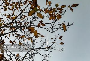 هشدار هواشناسی: افزایش آلاینده‌ها و کاهش کیفیت هوا در استان سمنان